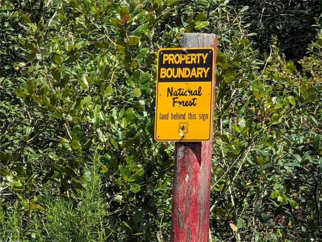 ON the border of the Ocala Forest