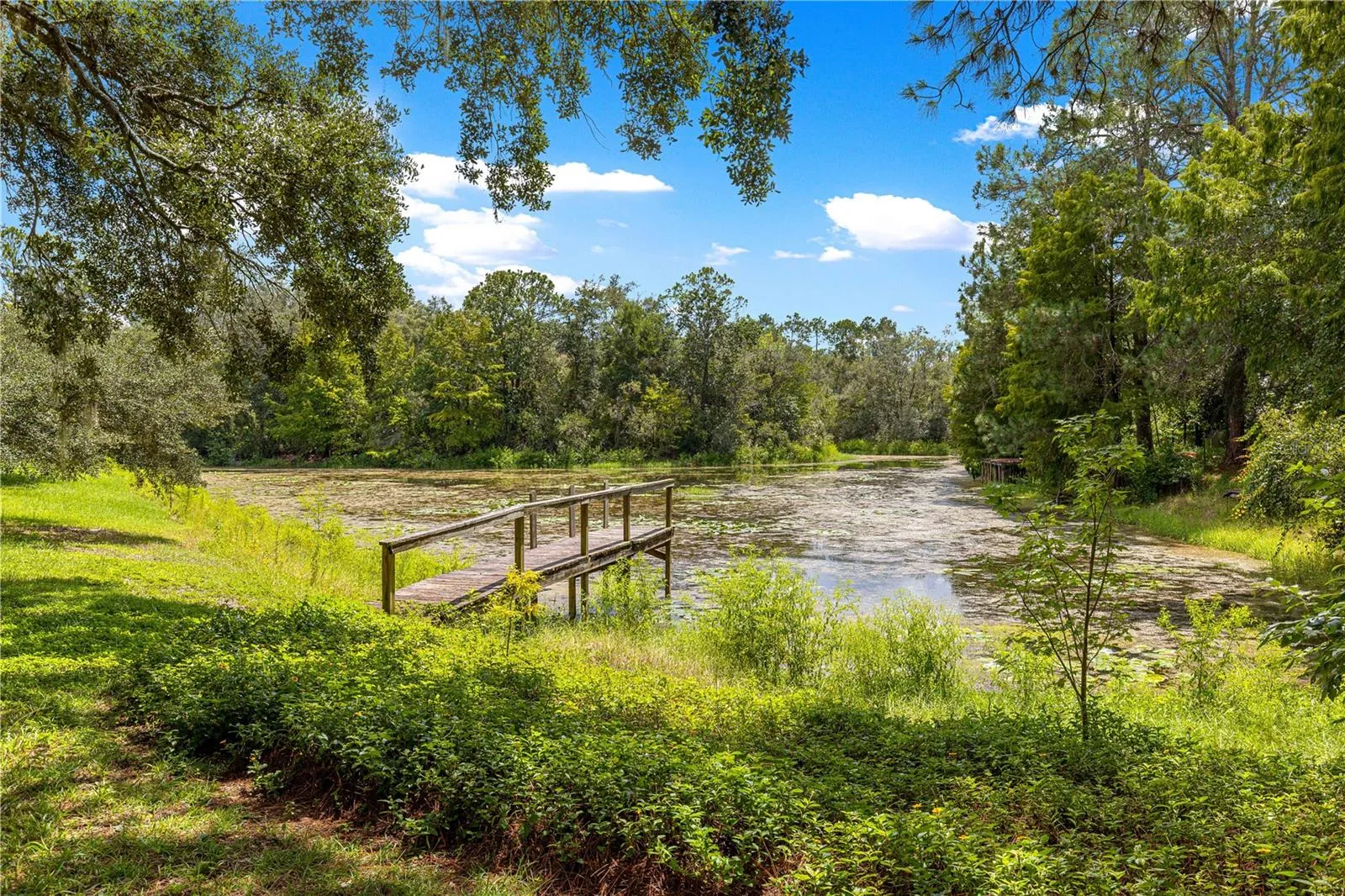 Ground-level view of the wood dock and canal.