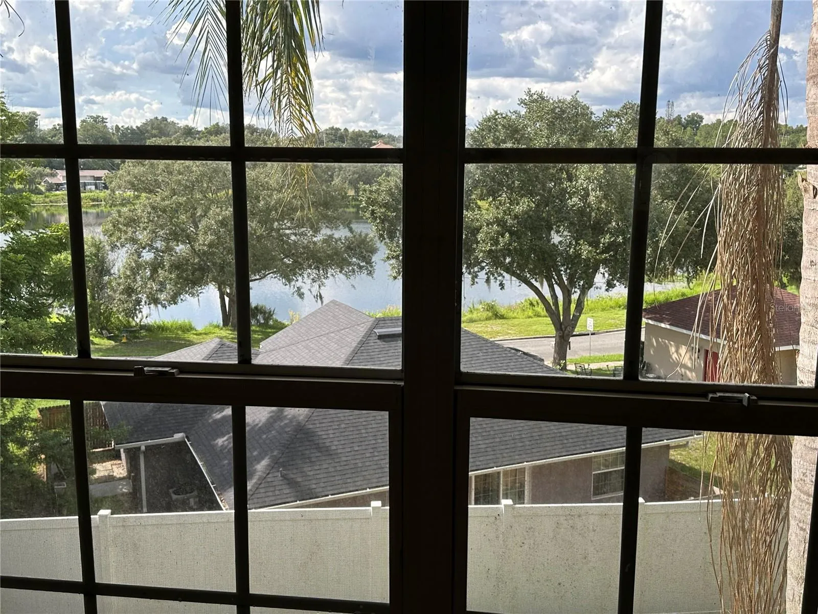 View from Living Room