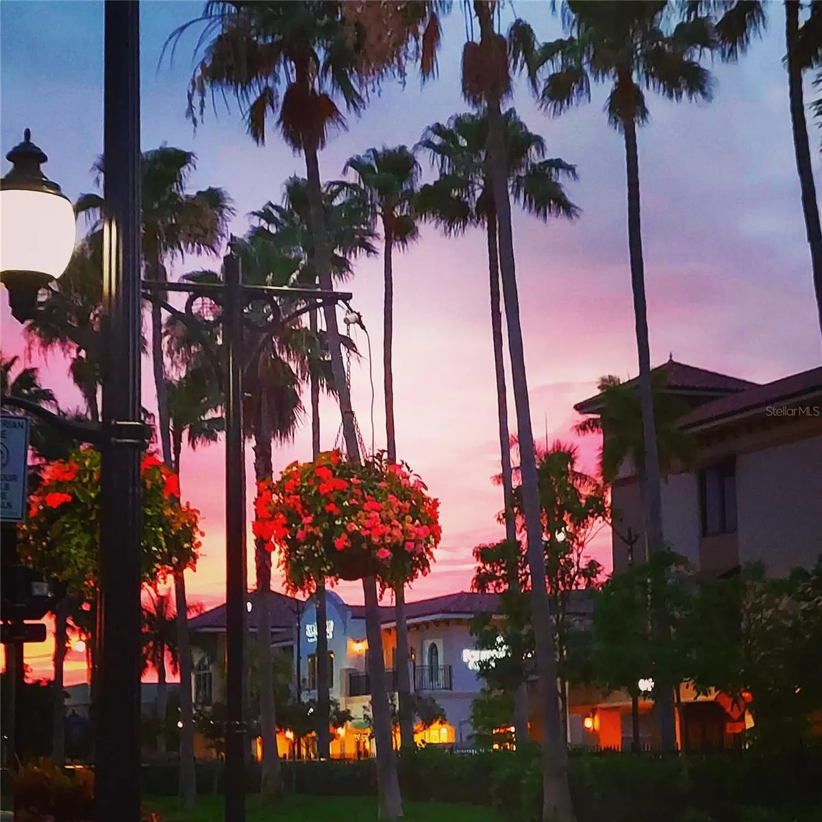 Sunset downtown Venice