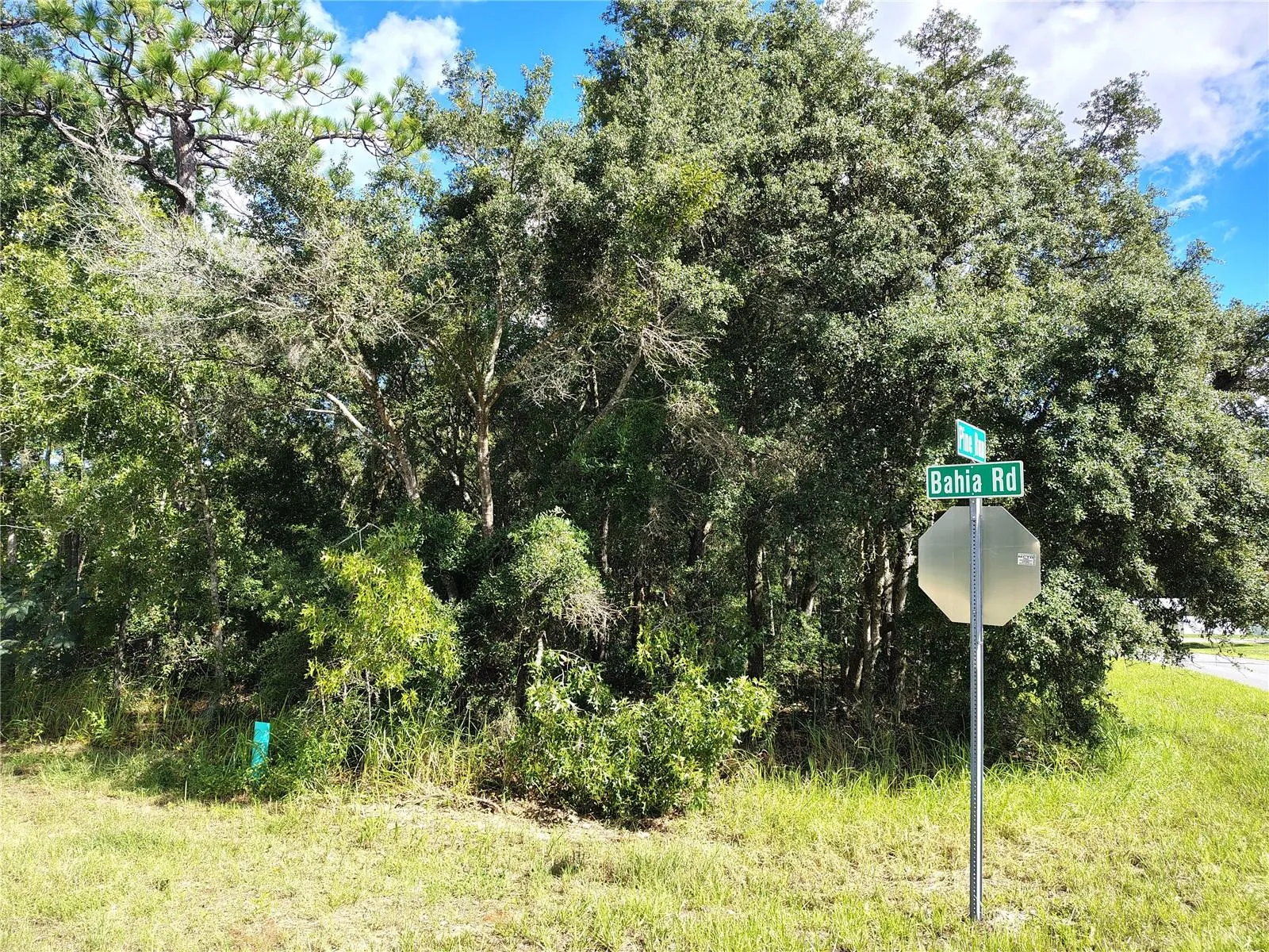 nearby cross street Bahia Rd/ Pine Run