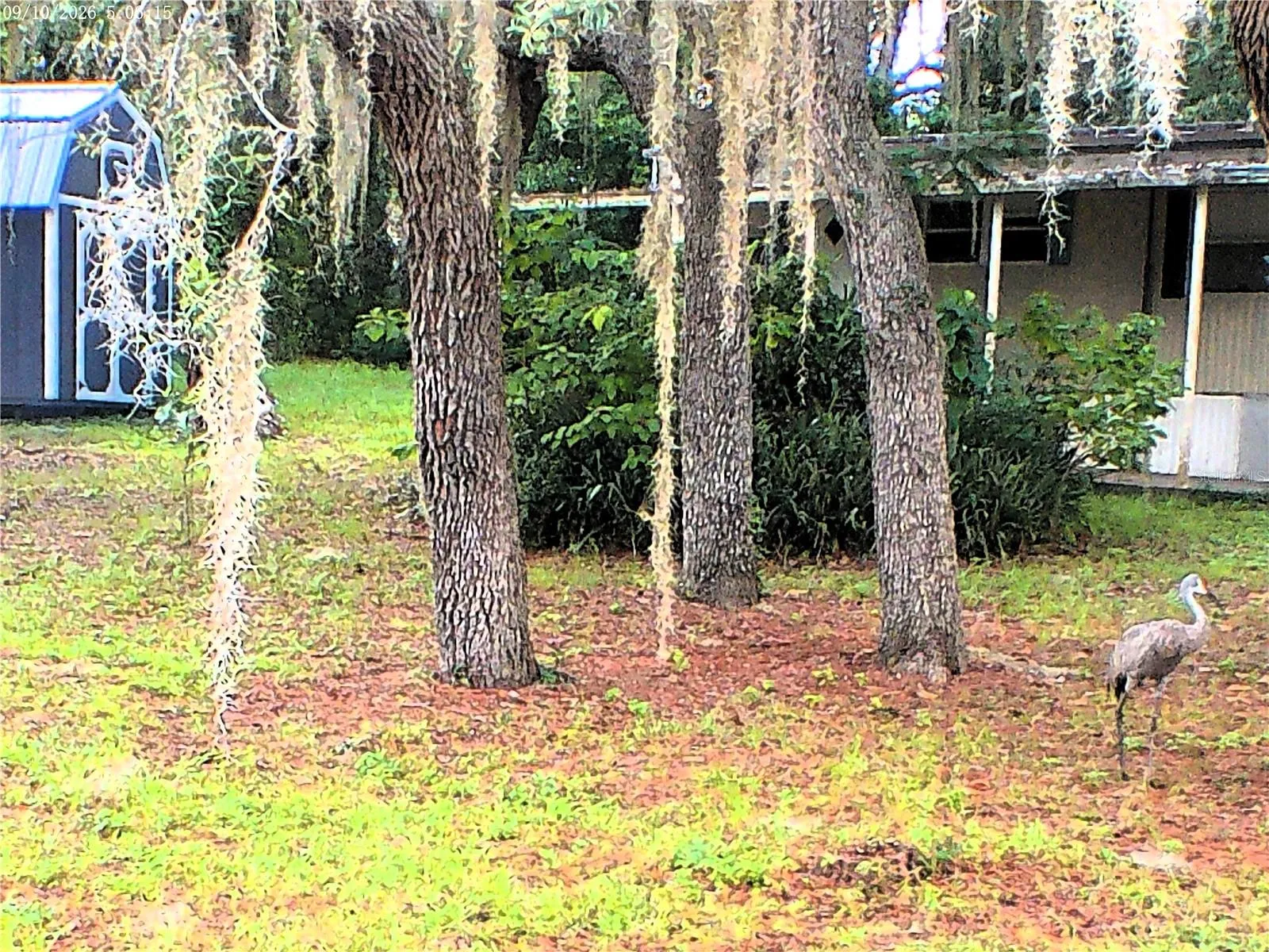 SIDE OF CARPORT