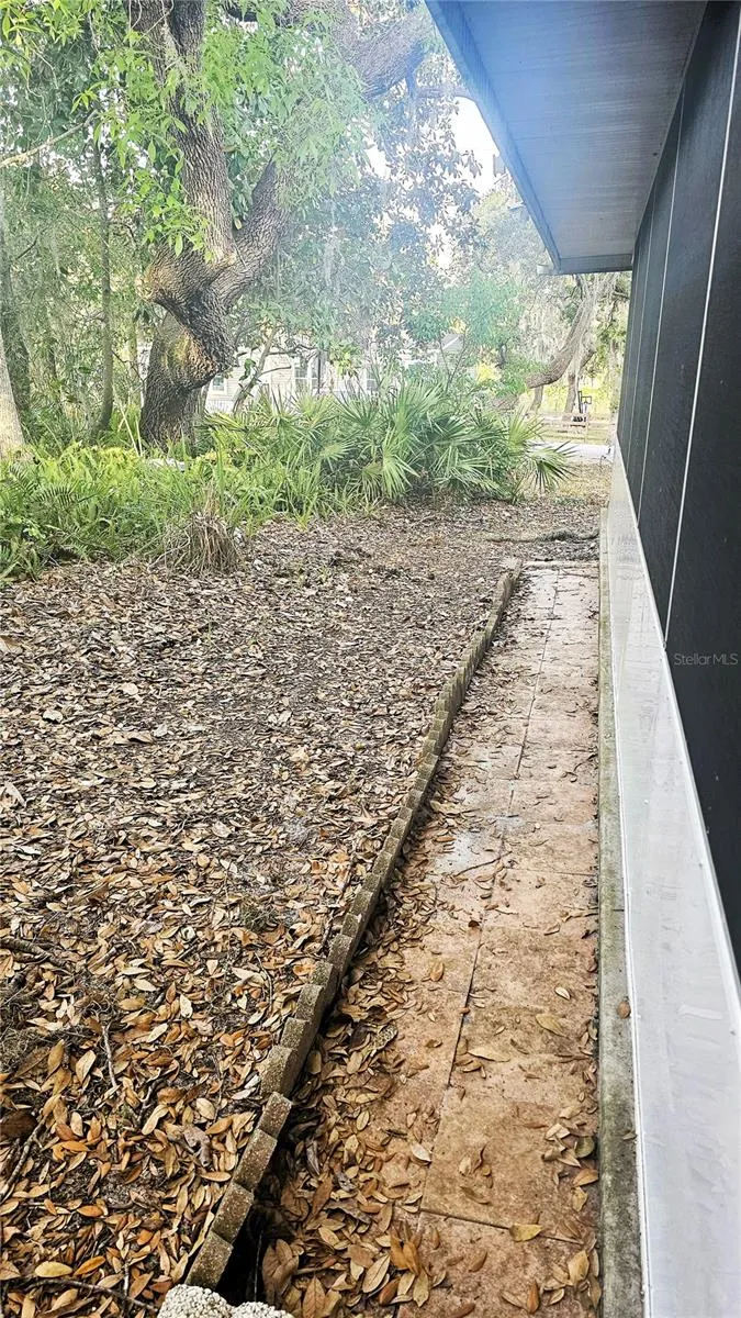 SIDE OF PATIO