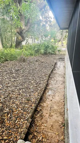 SIDE OF PATIO