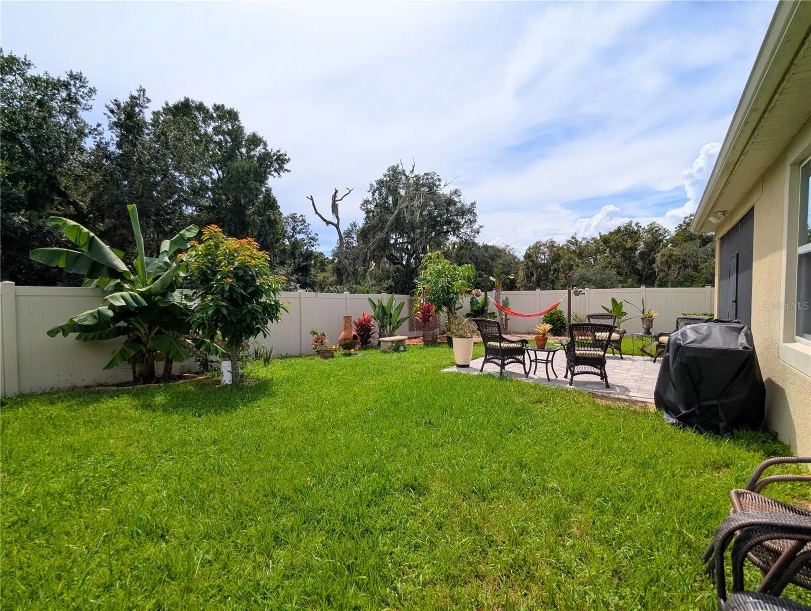 Rear Yard