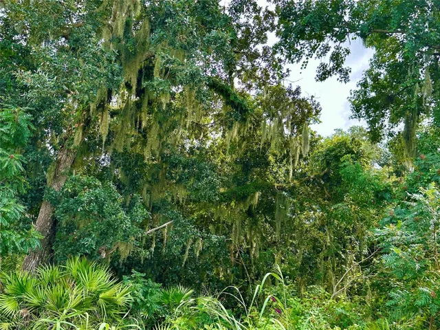 West Orange Trail/Conservation Area directly behind the home