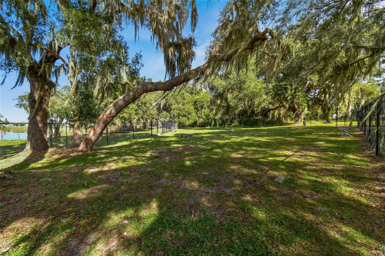 8699 Ivy Stark Blvd - Eagle Park Dog Park