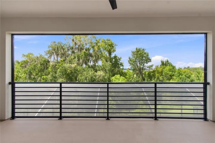 8699 Ivy Stark Blvd - Balcony with View of King's Lake