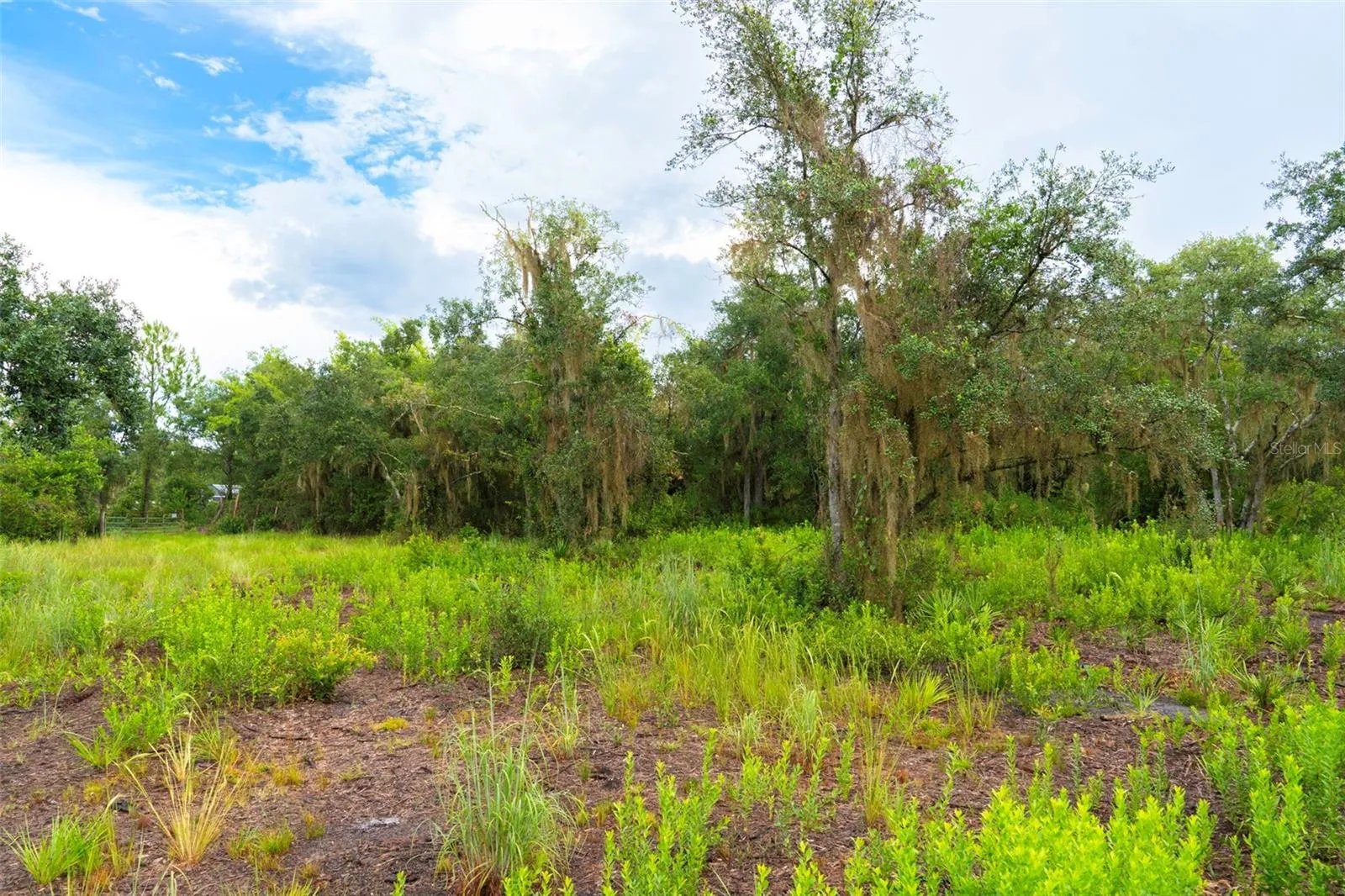 Build your dream home here