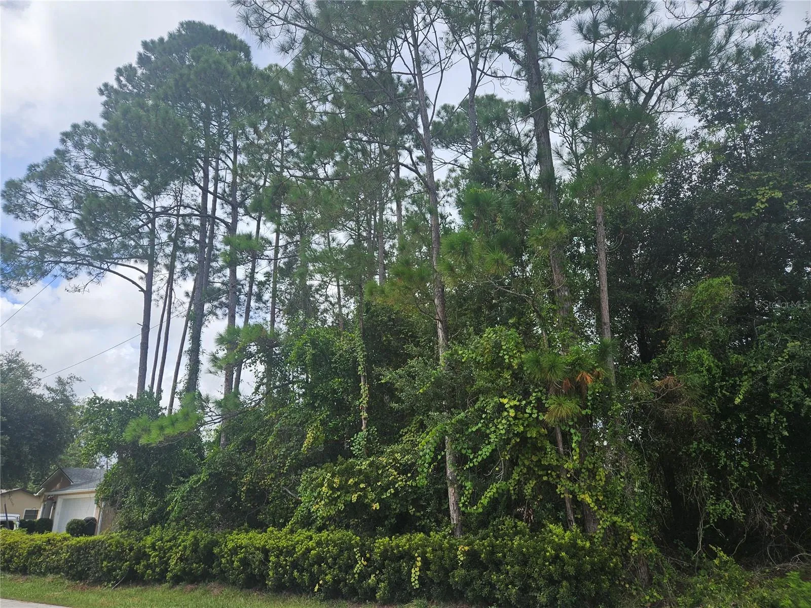 Front of lot