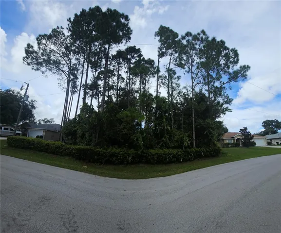 Front of lot