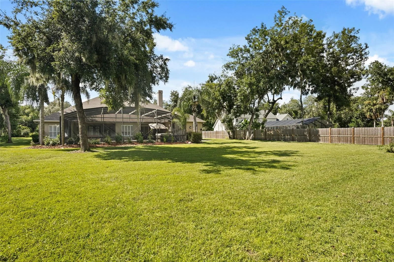 Back yard