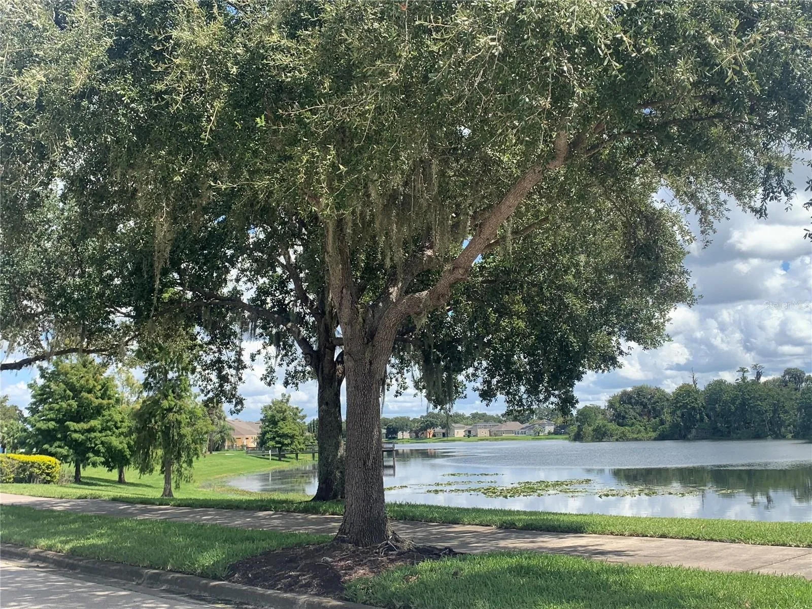 VIEW OF THE LAKE FROM THE FRONT DOOR