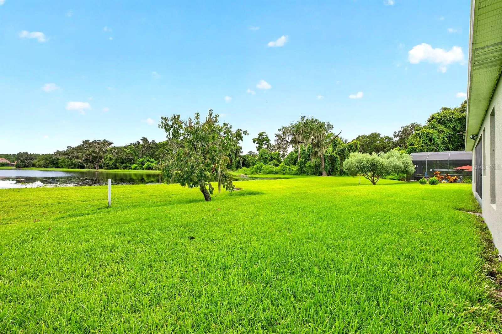 Backyard, pond views.