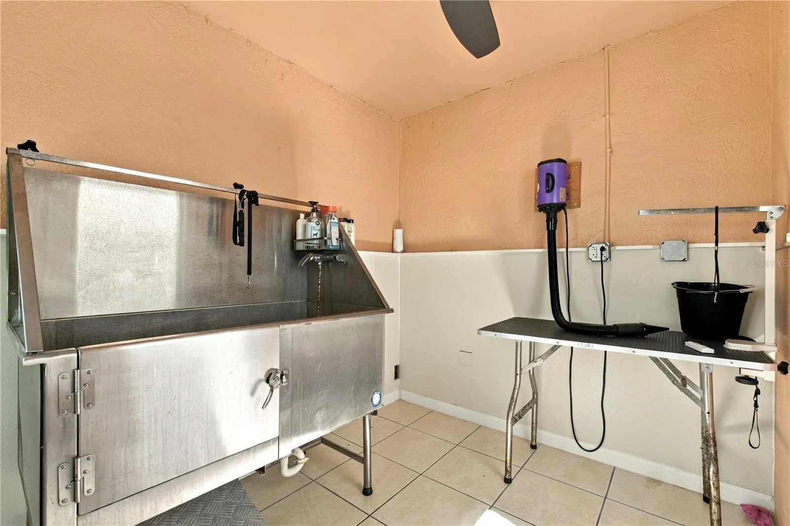 Dog Grooming Area