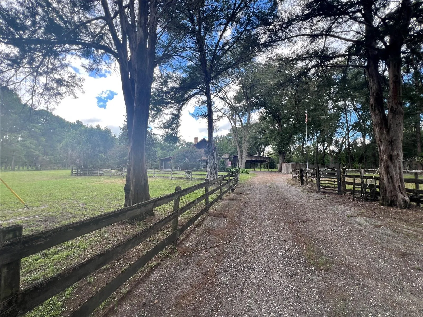 Driveway