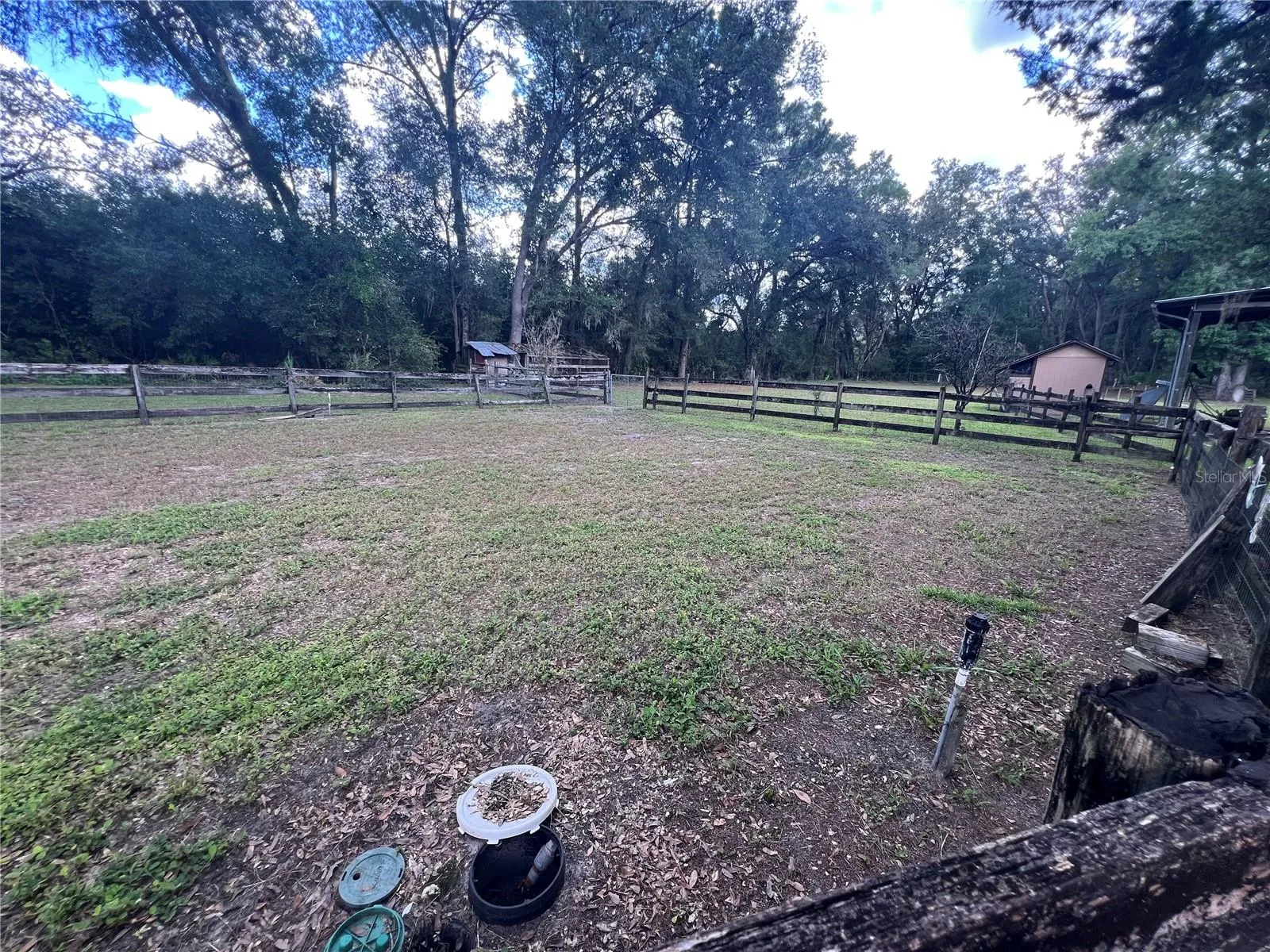 Garden area or paddock with water