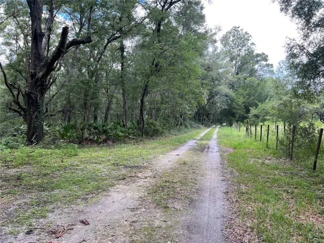Private tree covered land off 241 South