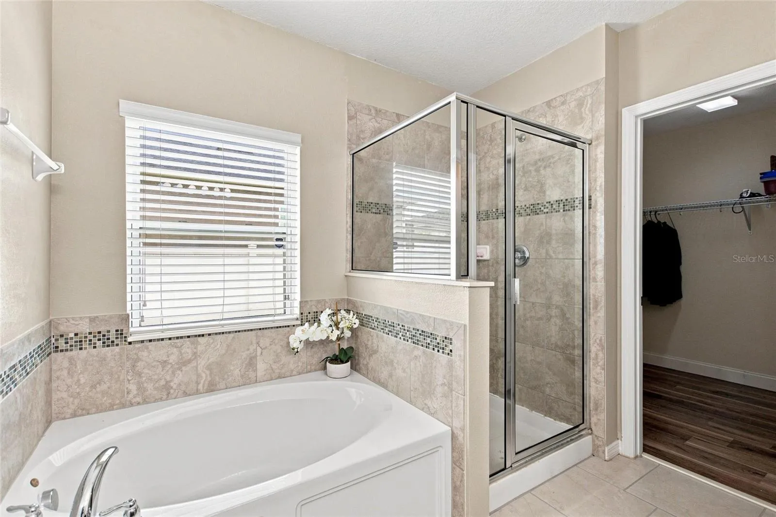 Soaking Tub and Shower