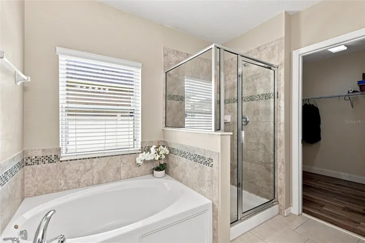 Soaking Tub and Shower