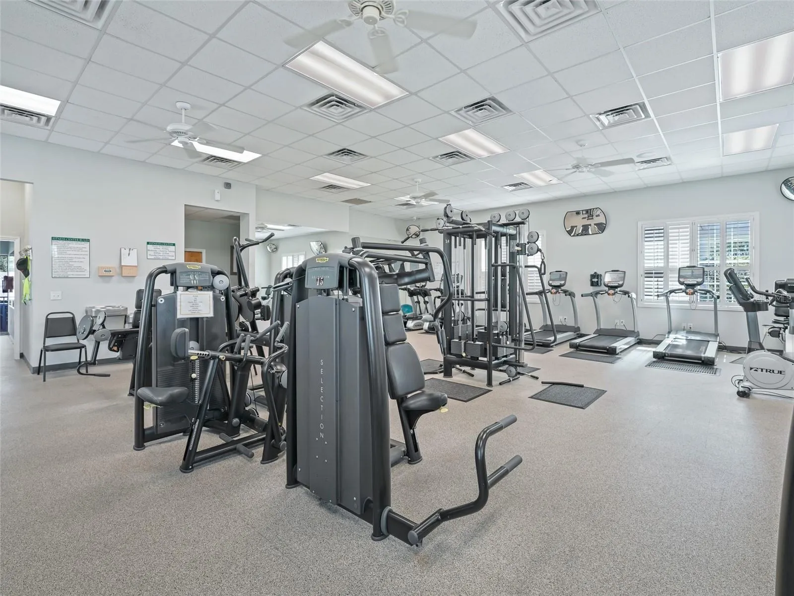 Gym w/Plenty of Equipment
