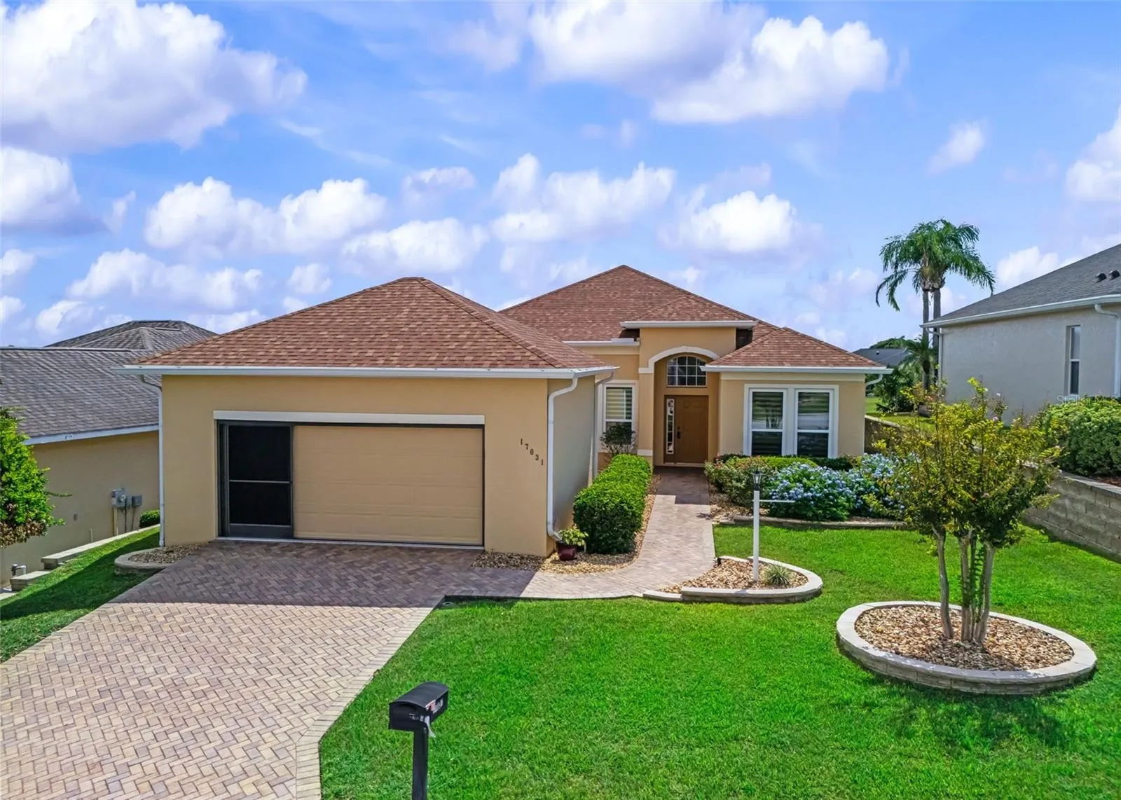 Low Maintenance Professional Landscape