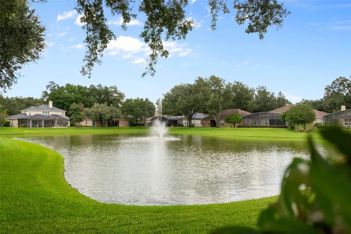 Pond View