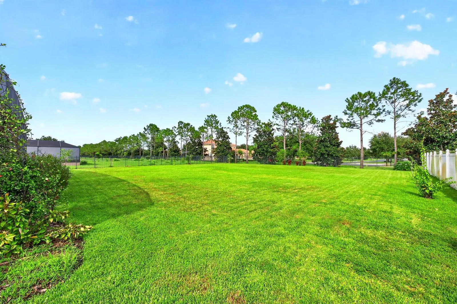 Fenced Backyard.