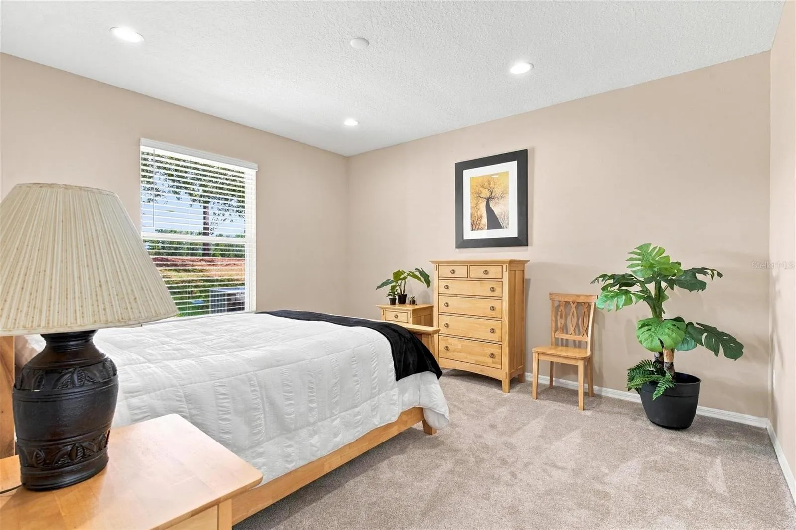Primary Bedroom located at back of home and features extra plush carpeting.