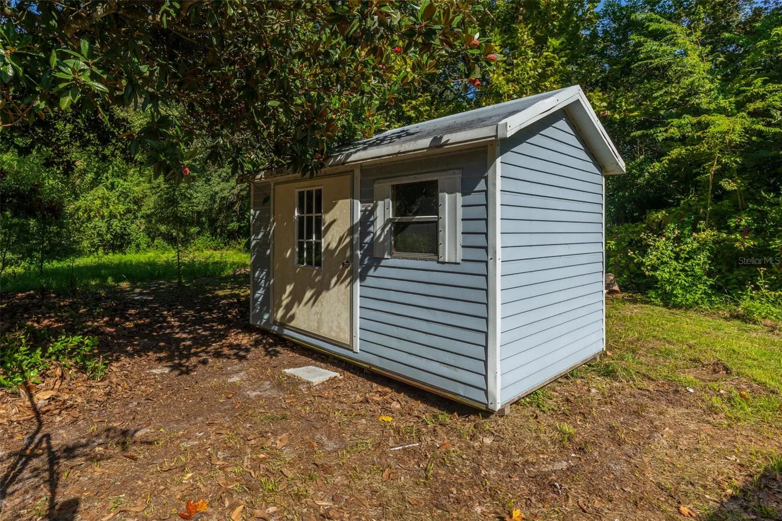 1 of 2 Sheds