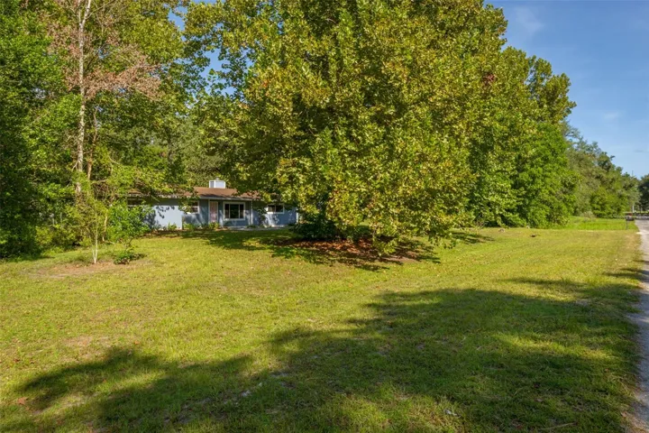 Front Yard