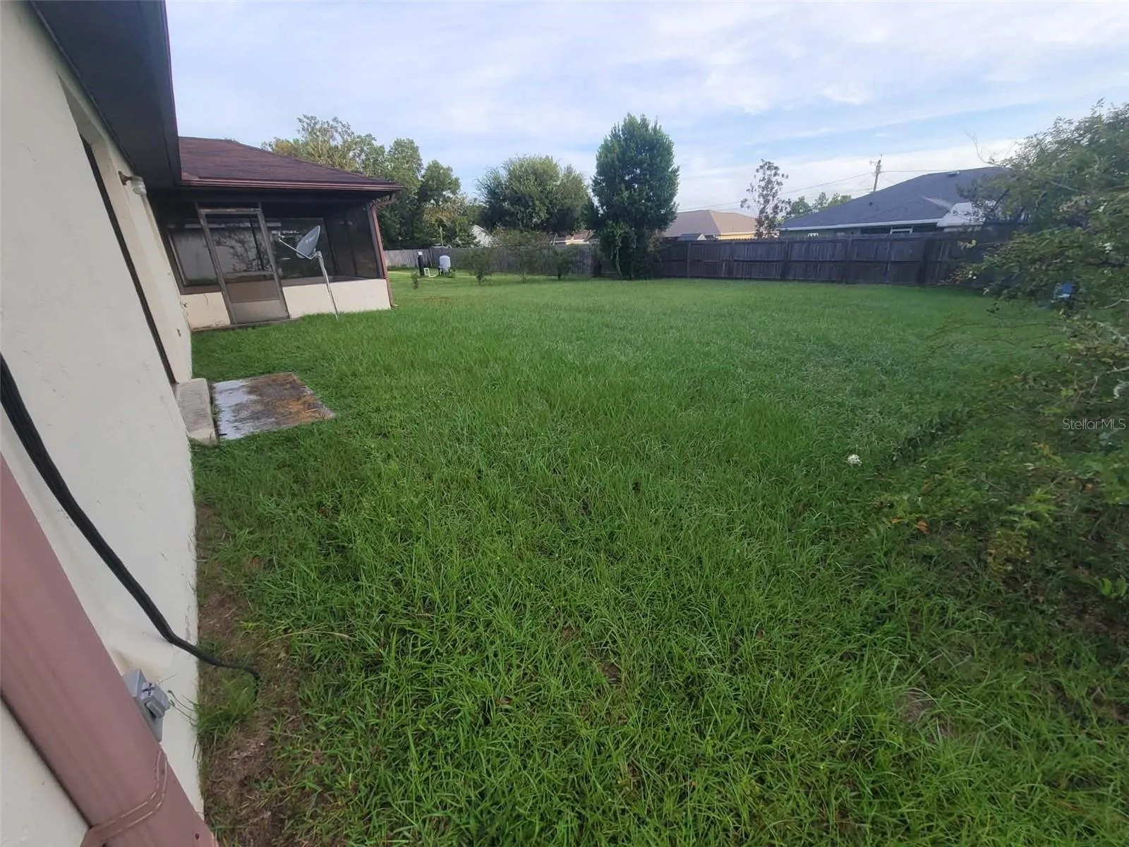 backyard