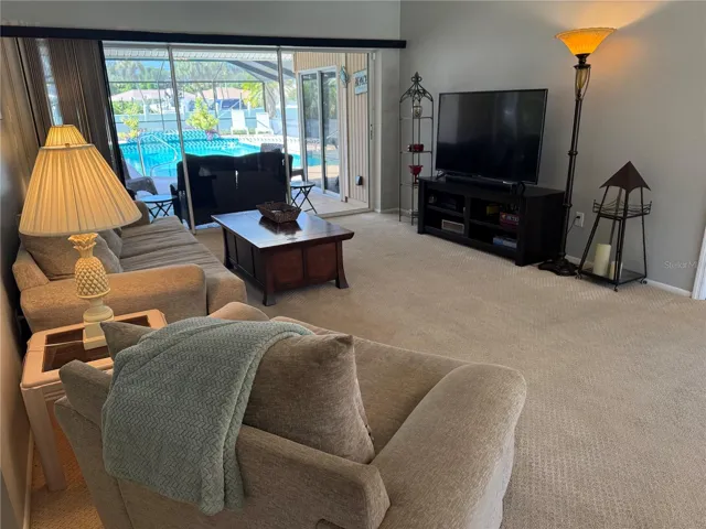 Living Area TV