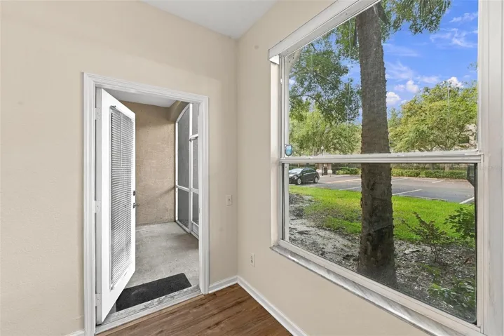 Living room window and back porch door