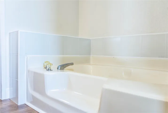 Primary bathroom tub