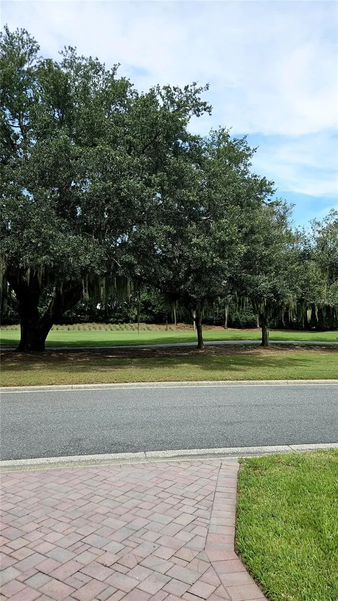 Golf View