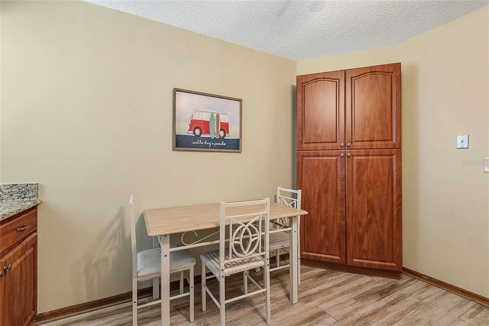Extra Storage/Pantry cabinet
