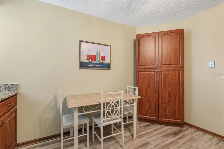 Extra Storage/Pantry cabinet