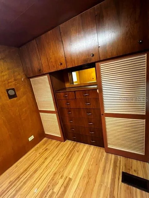 Walk in Closet #2