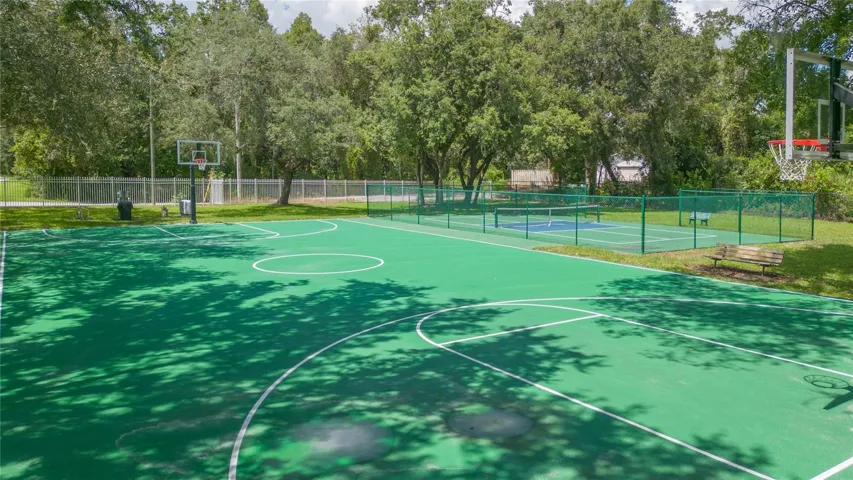 Basketball court