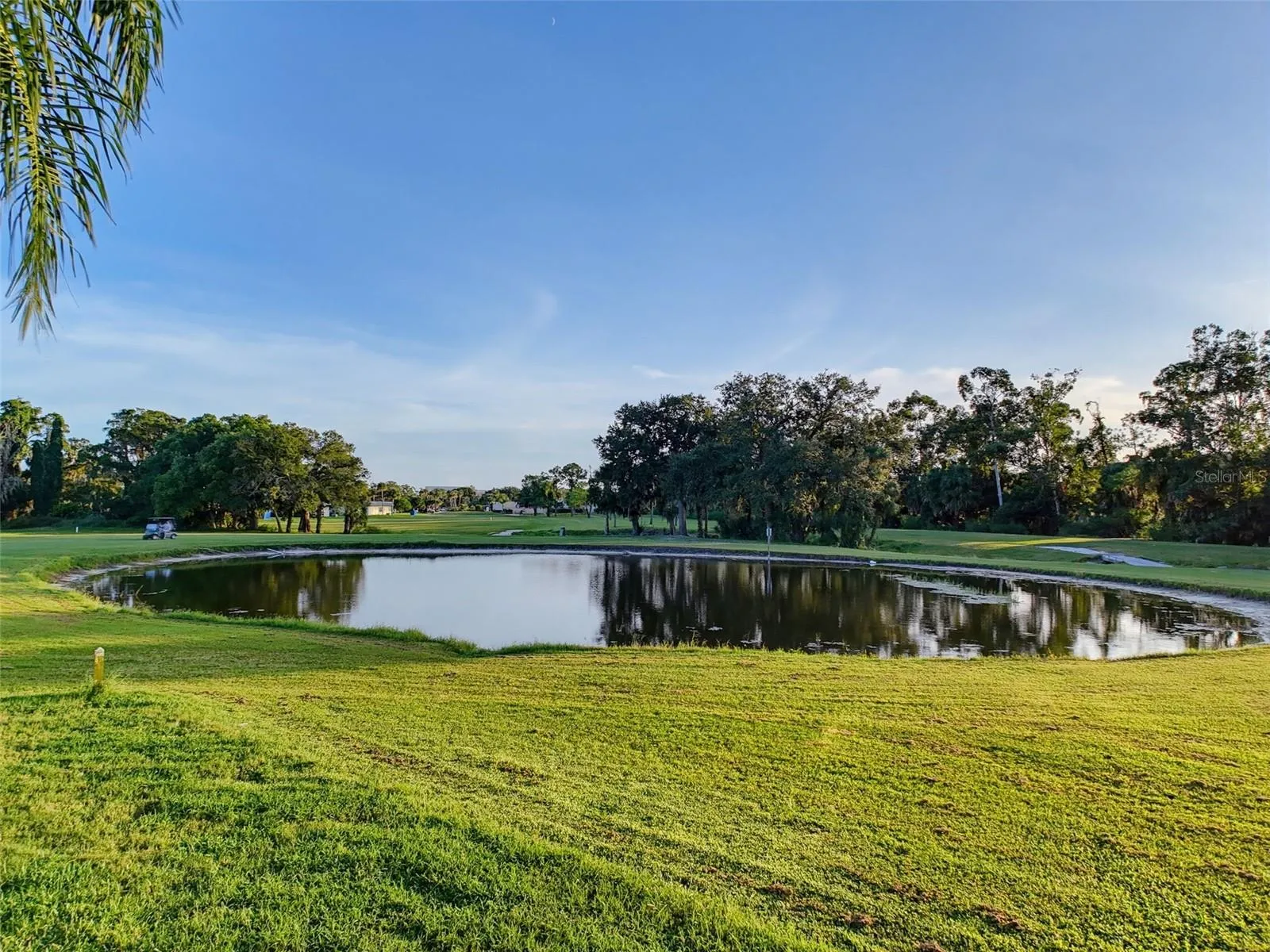 View of Pond