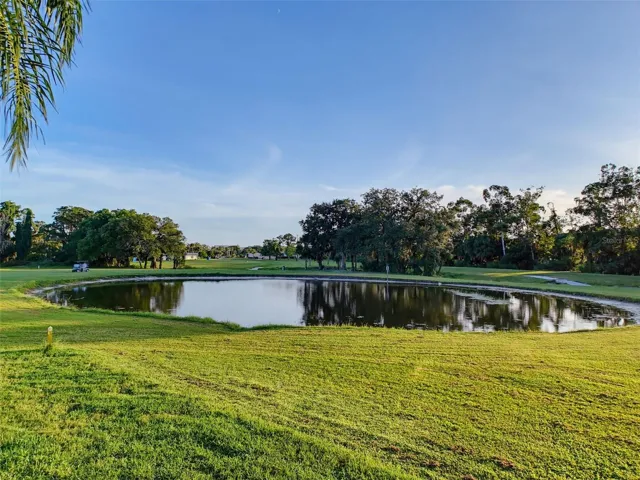 View of Pond