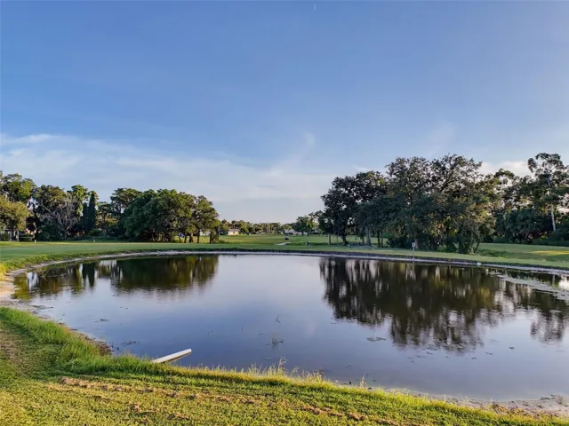 View of Pond