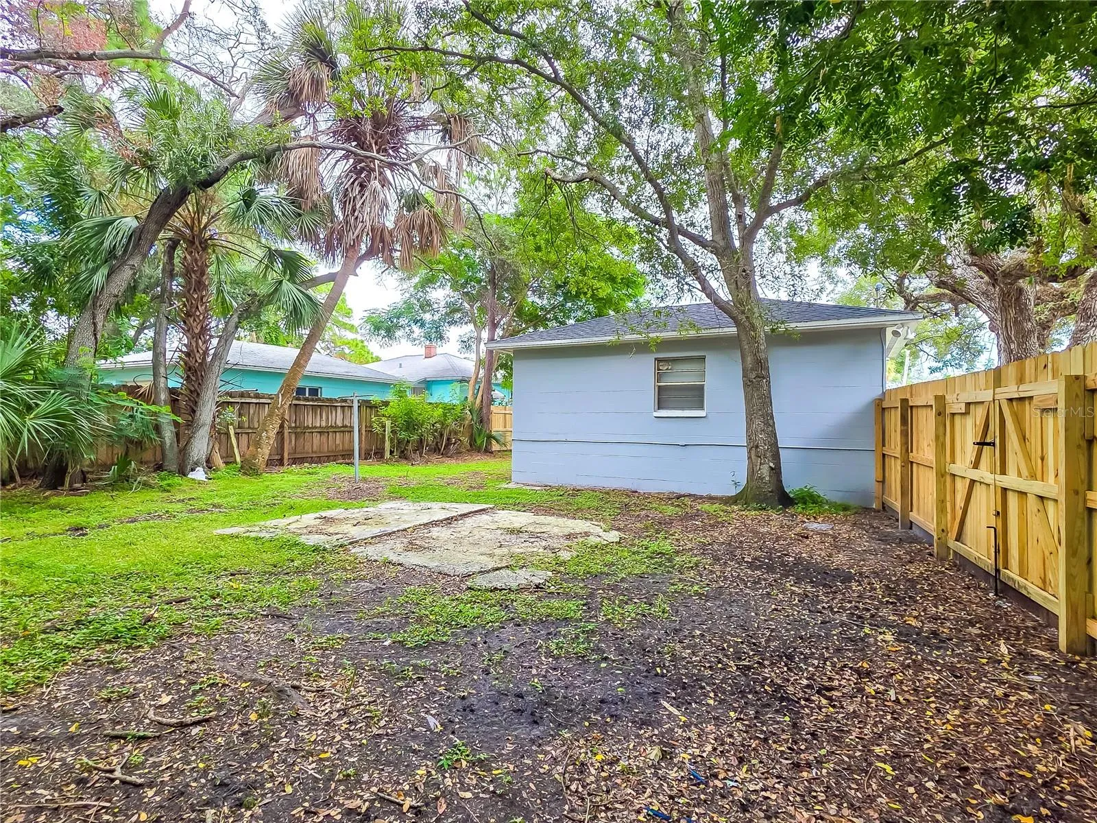 back yard