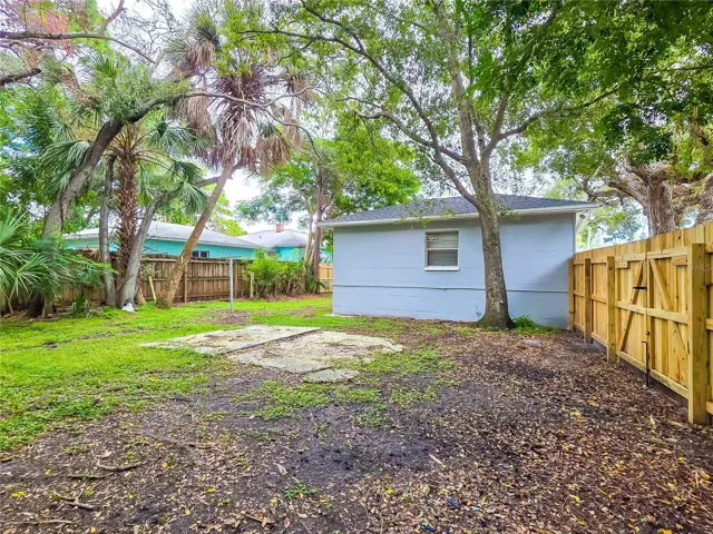 back yard