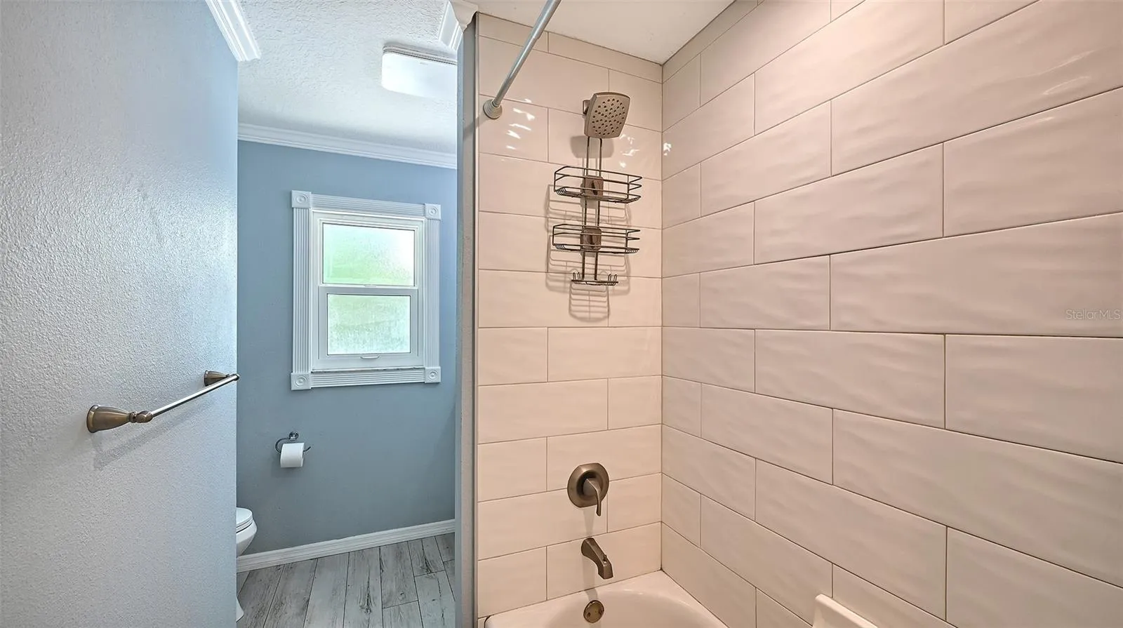 Shower tub bathroom 2