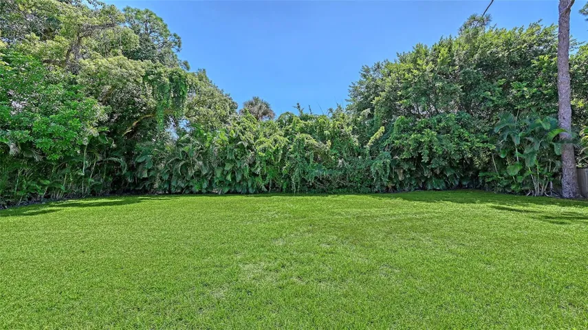 Large Backyard