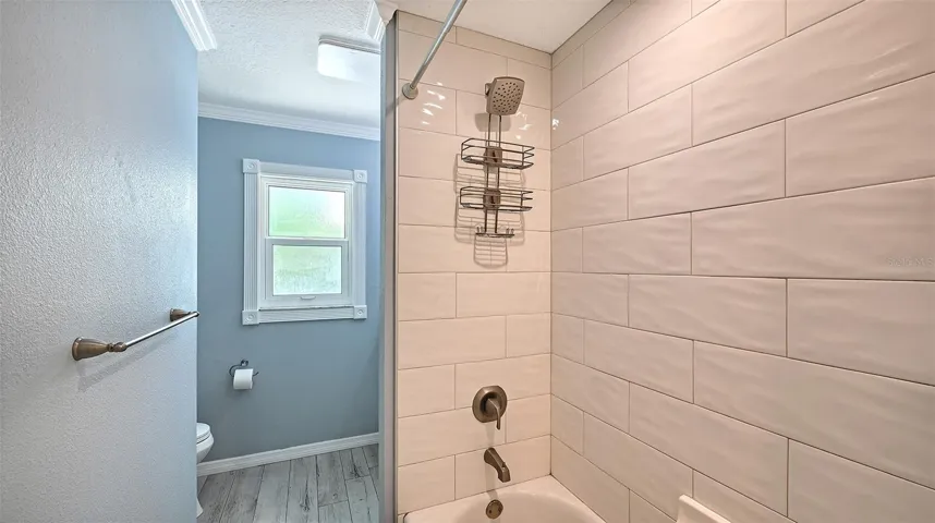 Shower tub bathroom 2