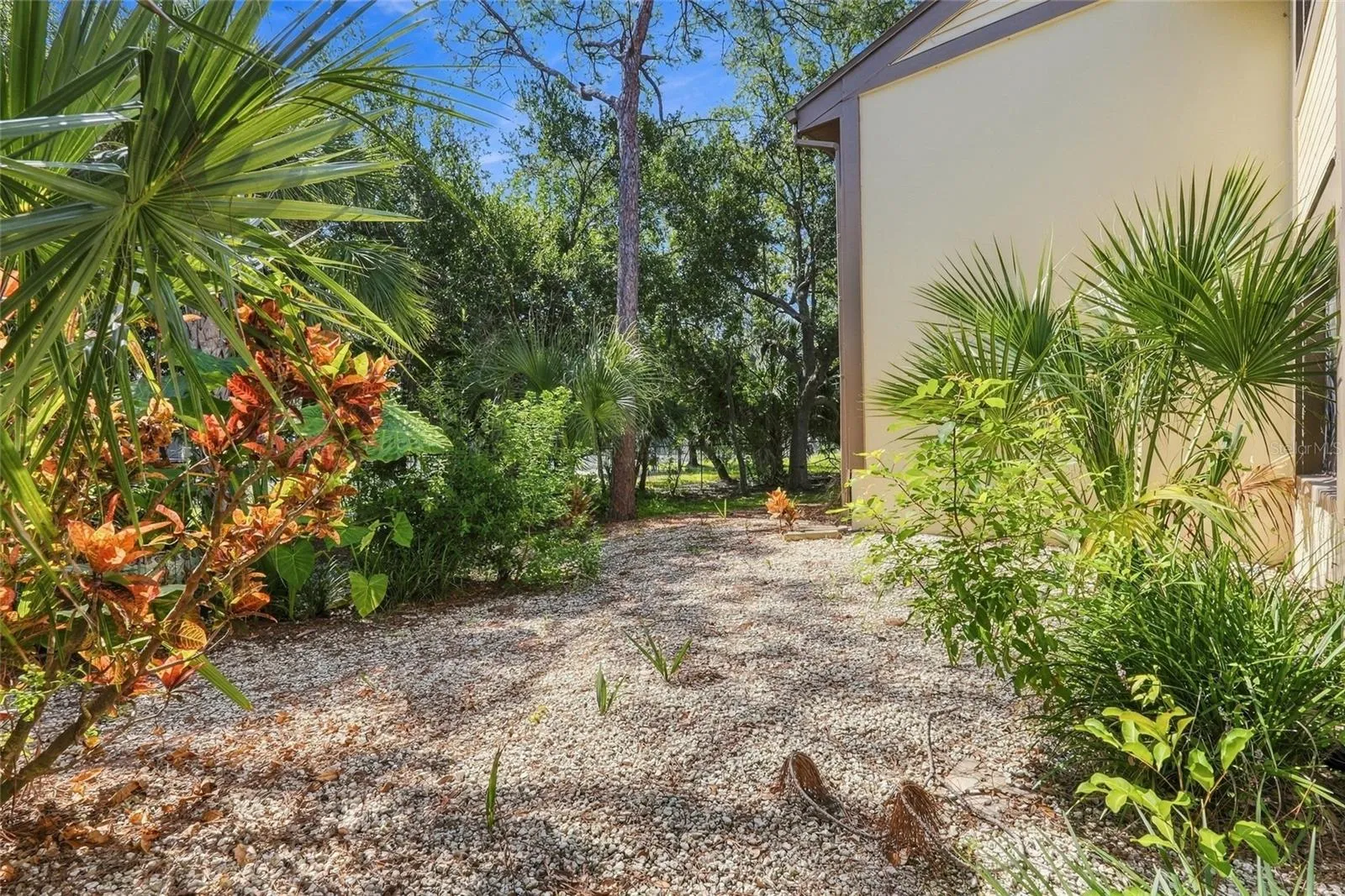 Backyard Space