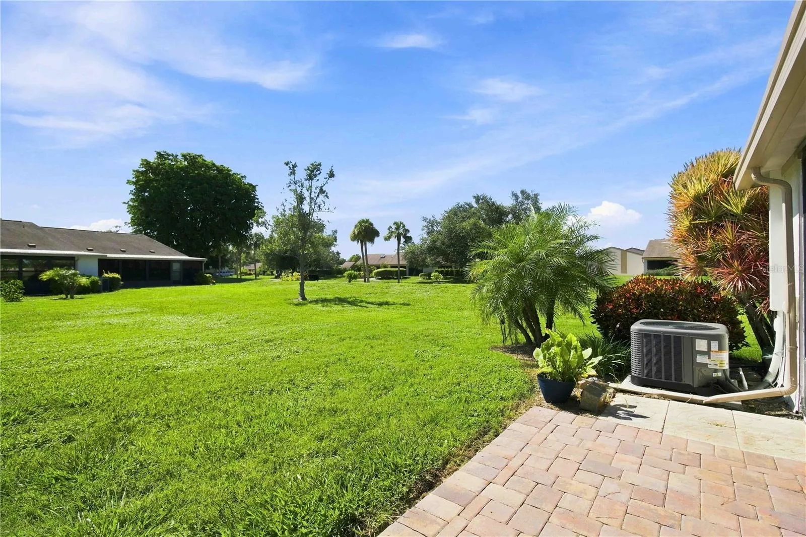 BACK PATIO AND GRASS